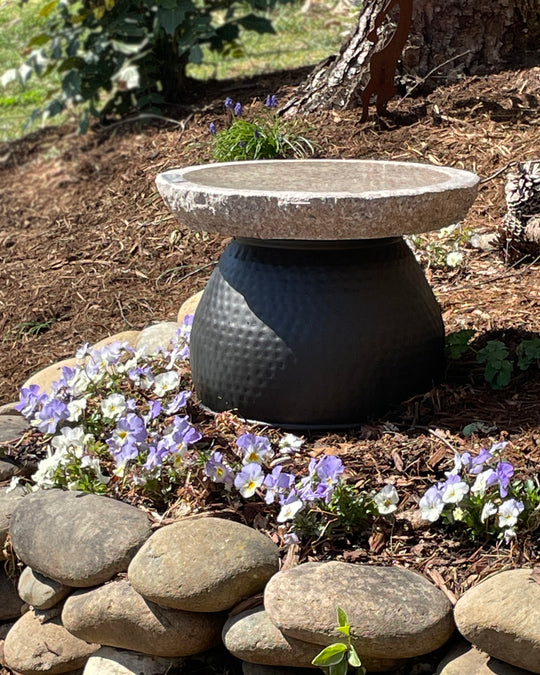 Timeless Garden Oasis