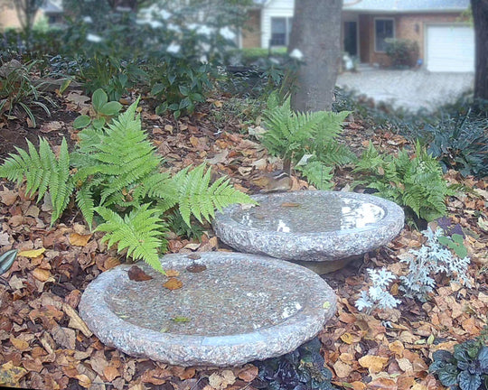 Timeless Garden Oasis
